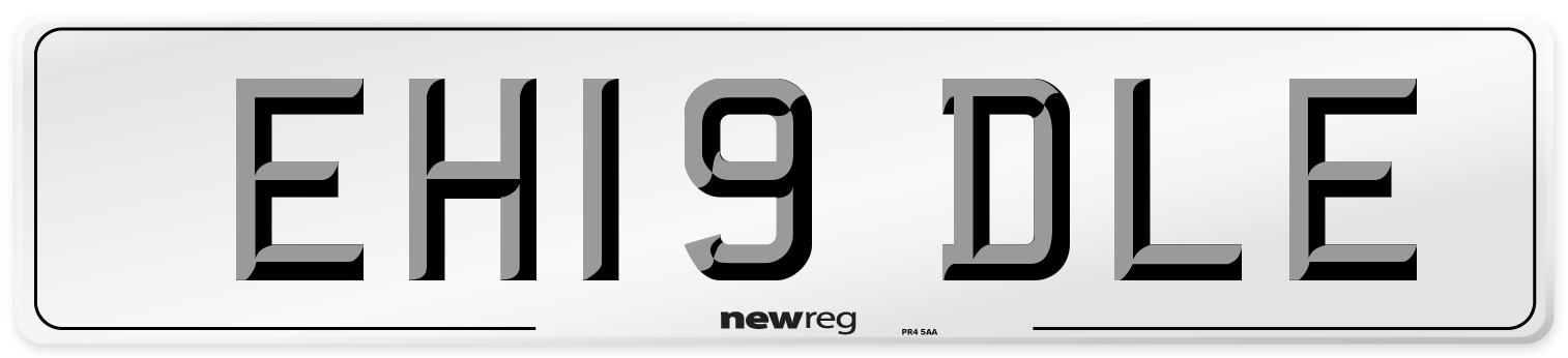 EH19 DLE Number Plate from New Reg